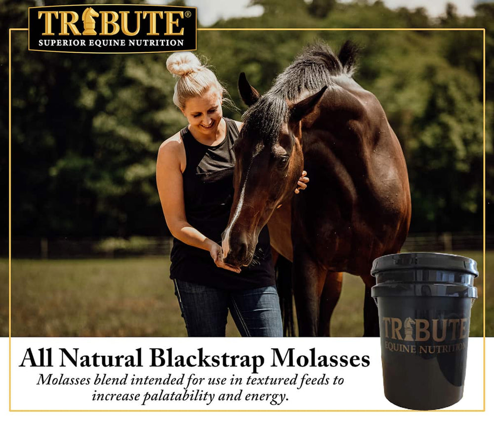 tribute all natural blackstrap molasses bucket description horse supplement