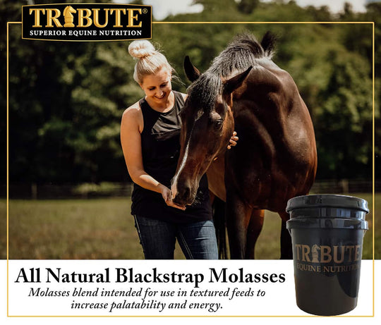 tribute all natural blackstrap molasses bucket description horse supplement