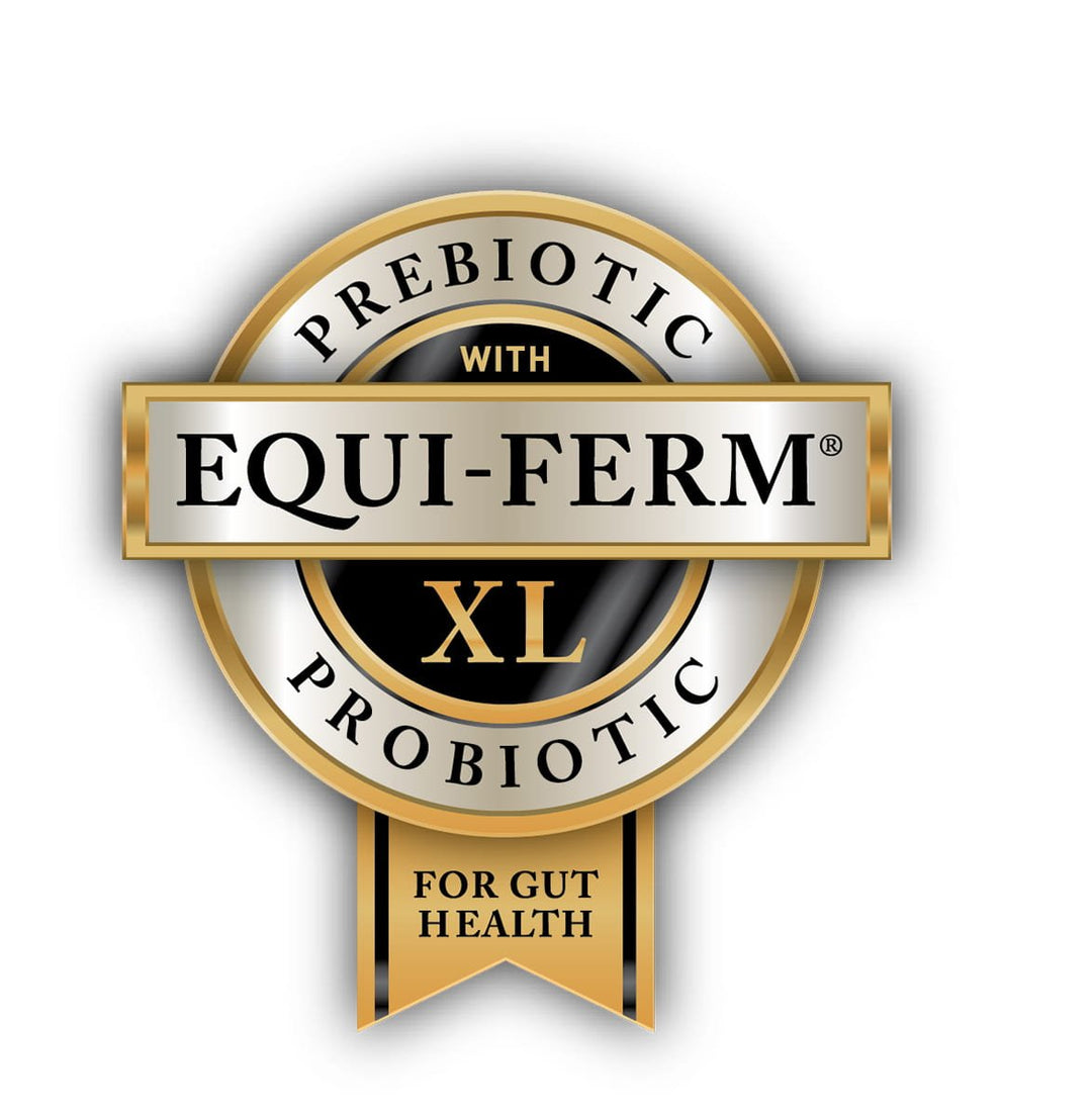 tribute equi-ferm xl ribbon icon horse gut health supplement