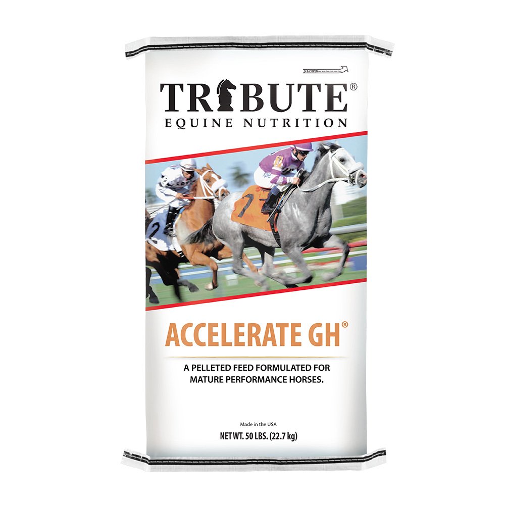 tribute equine nutrition accelerate gh racehorse feed canada