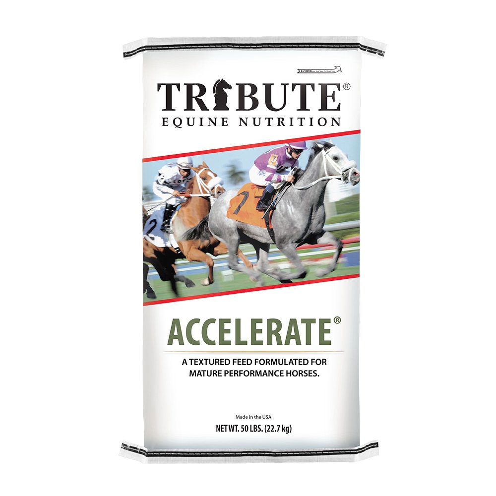 tribute equine nutrition accelerate racehorse feed canada