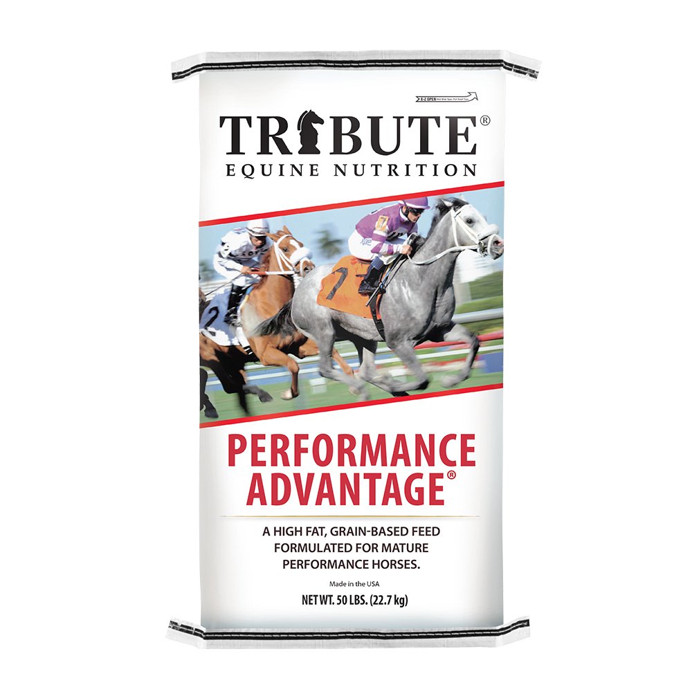 tribute equine nutrition performance advantage racehorse feed canada