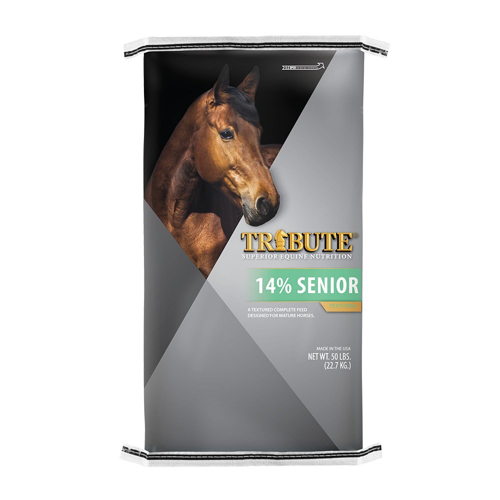 tribute equine nutrition senior horse feed canada