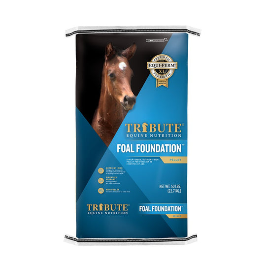 tribute equine nutrition foal foundation horse feed for foals