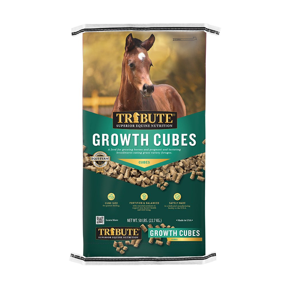 tribute equine nutrition growth cubes horse feed for growing horses and broodmares