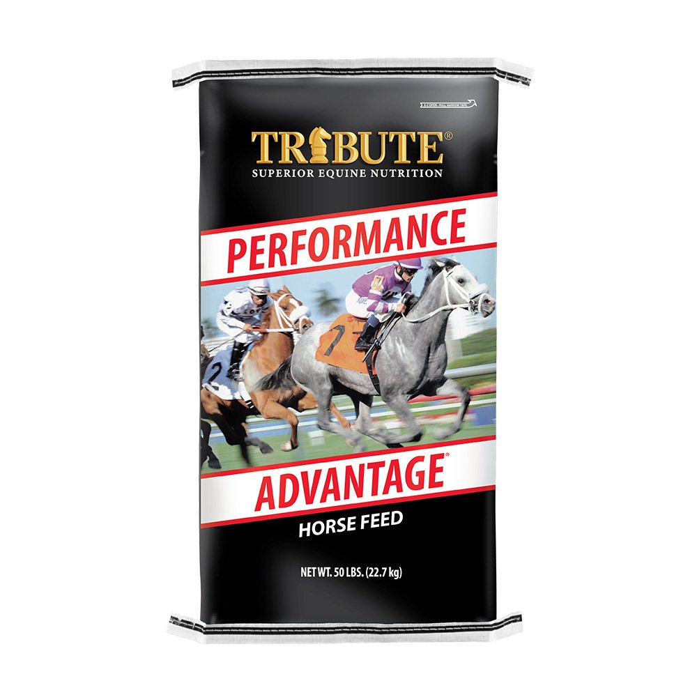 tribute equine nutrition performance advantage racehorse feed