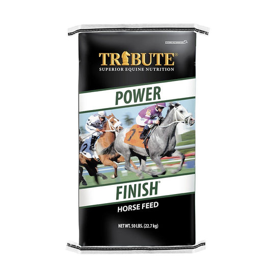 tribute equine nutrition power finish horse feed for racehorses