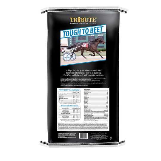 tribute equine nutrition tough to beet racehorse feed