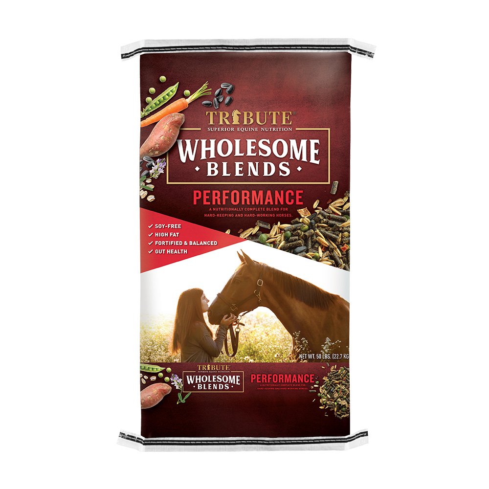 tribute equine nutrition wholesome blends performance soy-free horse feed