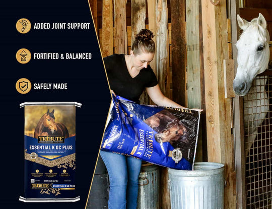 tribute essential k gc plus horse feed benefits lifestyle imagery