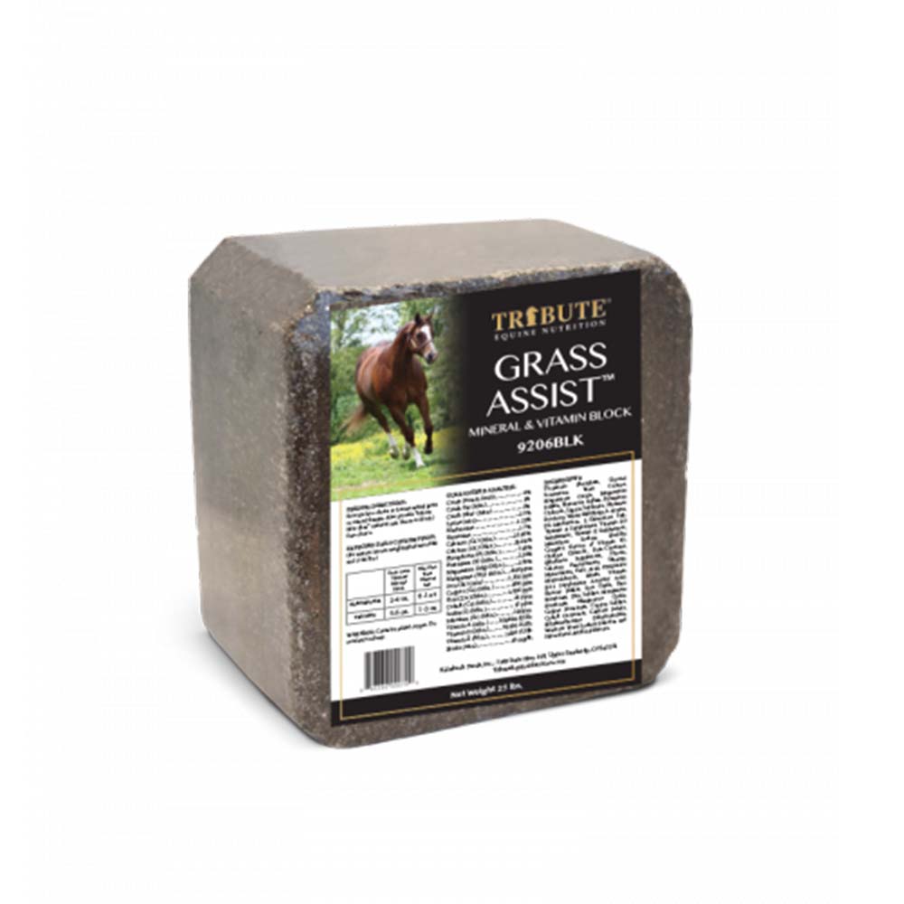 tribute grass assist vitamin and mineral supplement block for horses