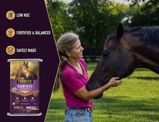 tribute kalm n ez horse feed benefits lifestyle imagery graphic