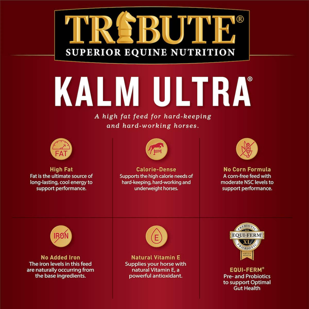 tribute kalm ultra horse feed benefits graphic