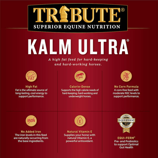 tribute kalm ultra horse feed benefits graphic