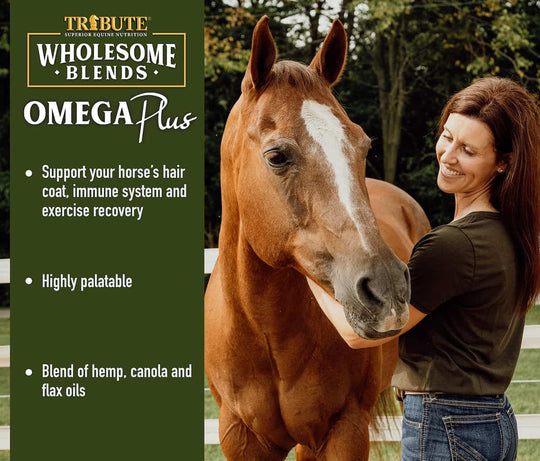 tribute omega plus lifestyle imagery 2 horse oil supplement