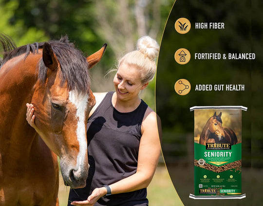 tribute seniority pellet horse feed benefits lifestyle imagery