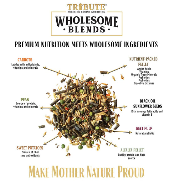 tribute wholesome blends horse feed infographic