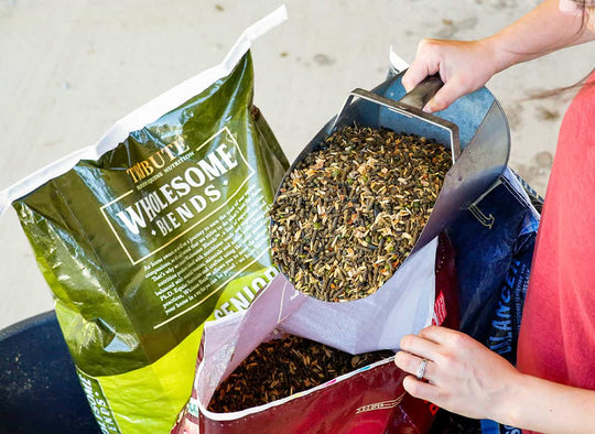 tribute wholesome blends horse feed lifestyle imagery