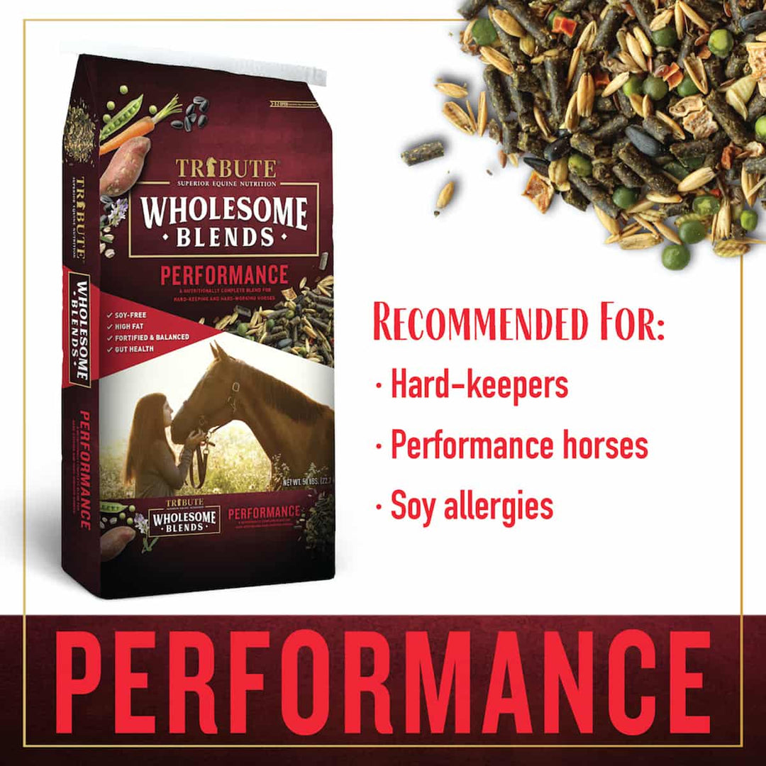 tribute wholesome blends performance horse feed info graphic